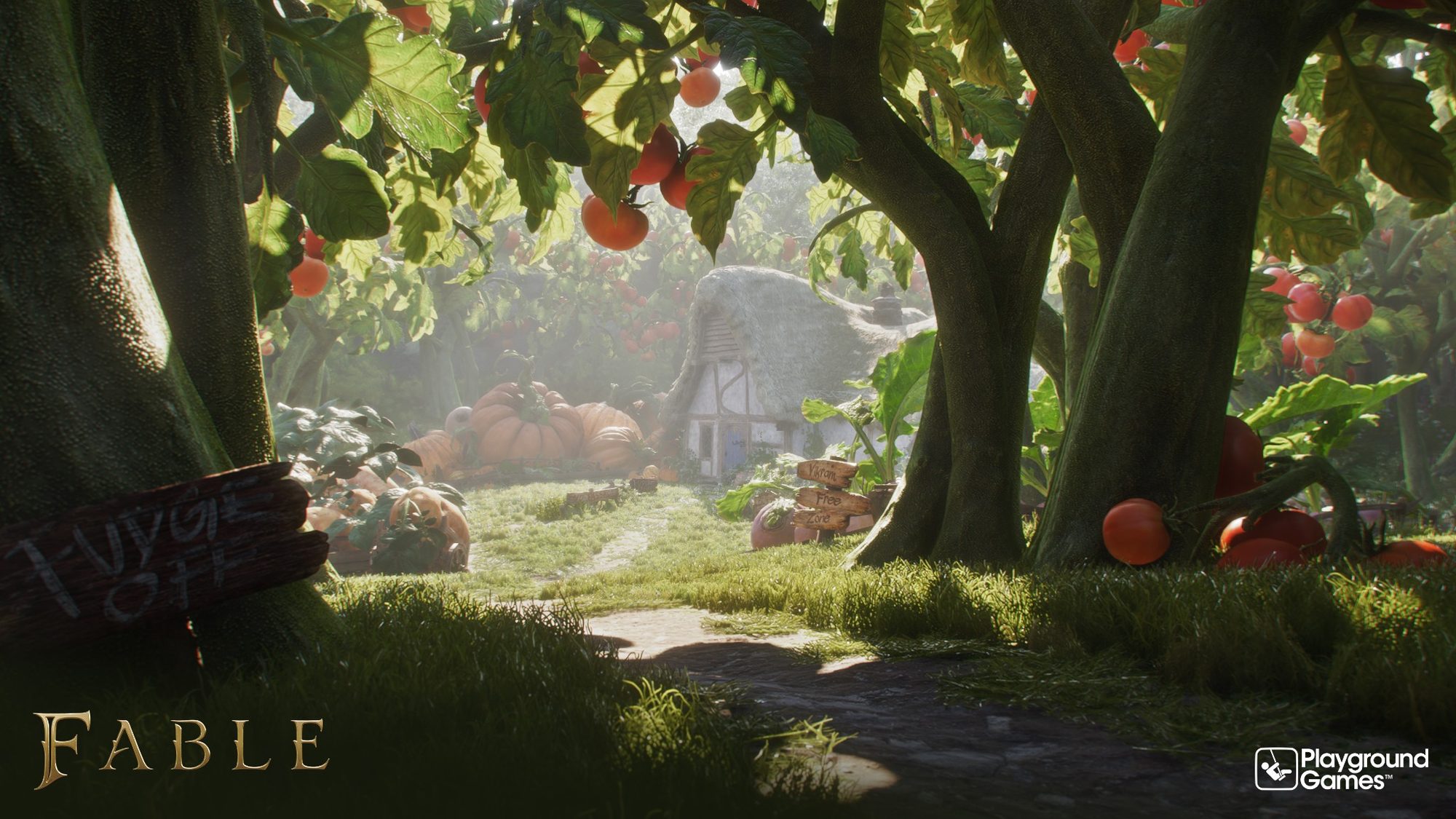 Fable + Ennakkotilaajan edut (PS5) - Image 2