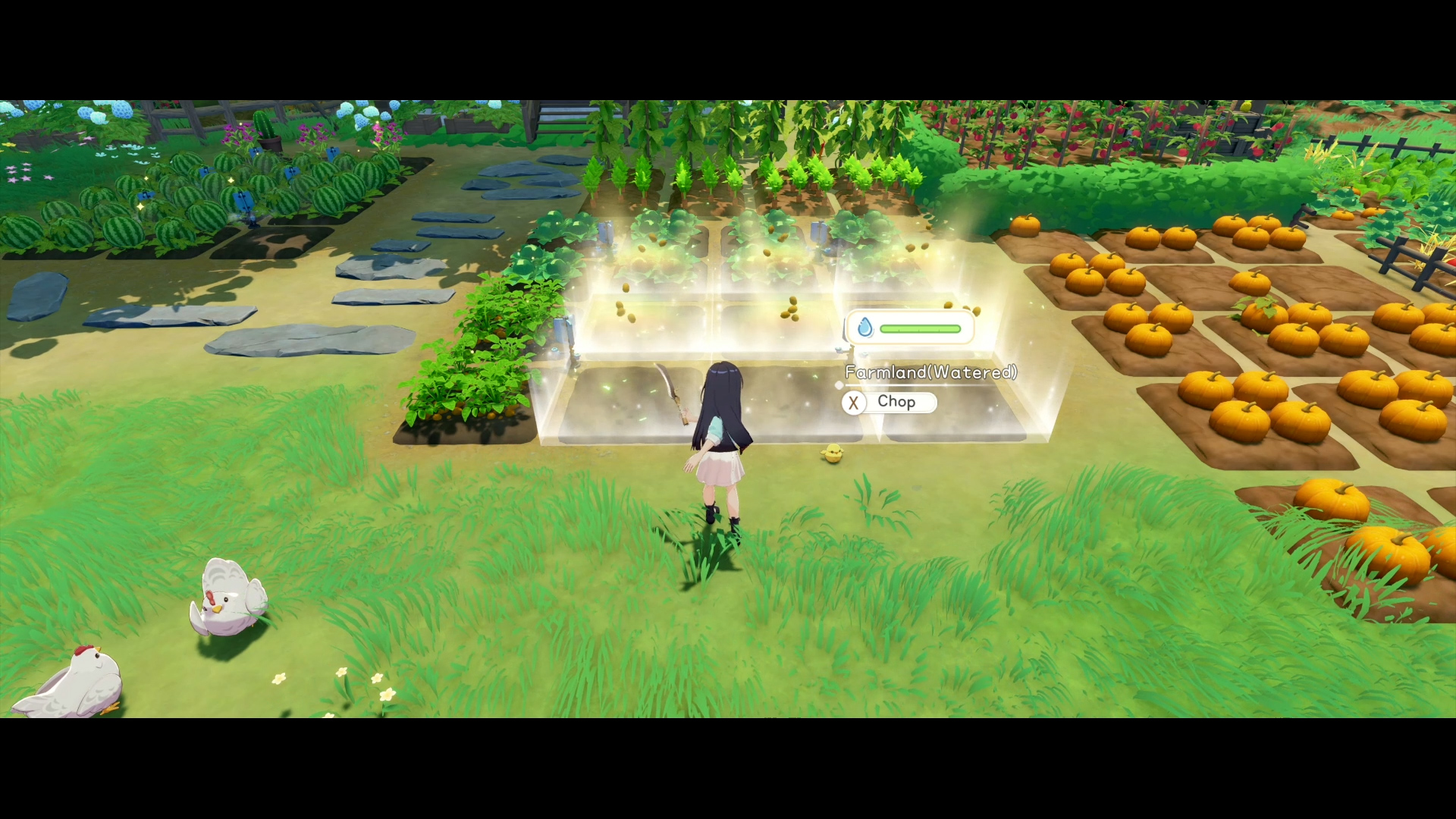 Starsand Island (Switch 2) - Image 4